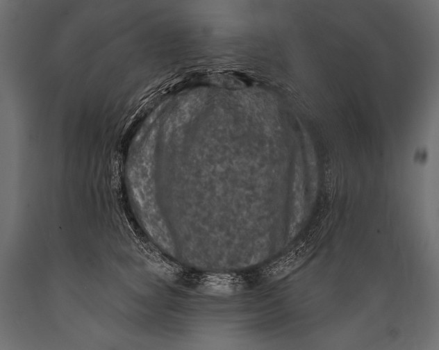 X0000088850757200706291455