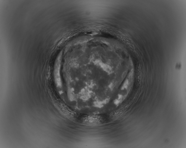 X0000088850758200706291455