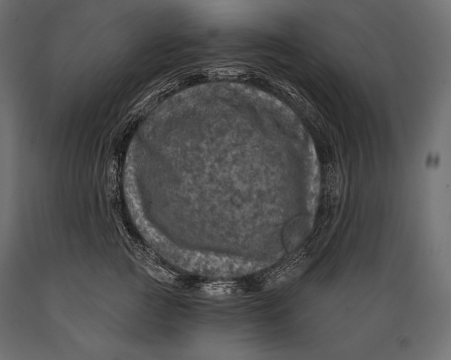 X0000088850761200706291455