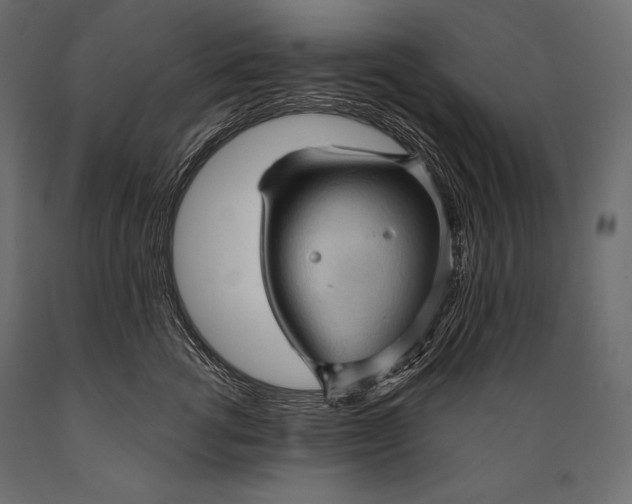 X0000088850762200706291455