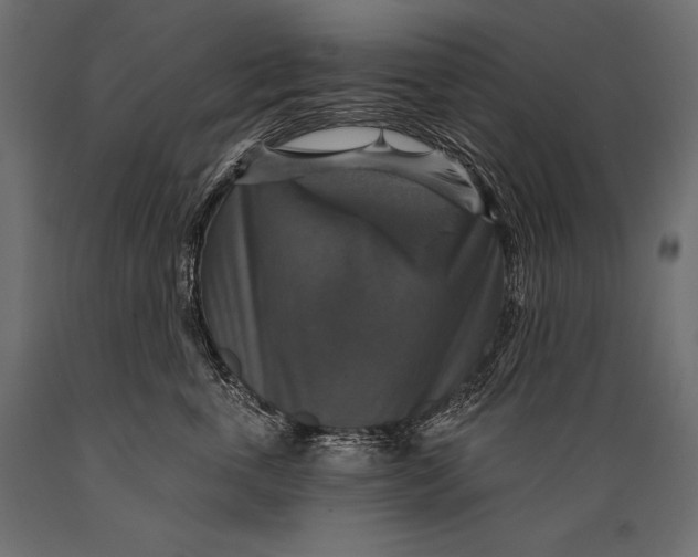 X0000088850763200706291455