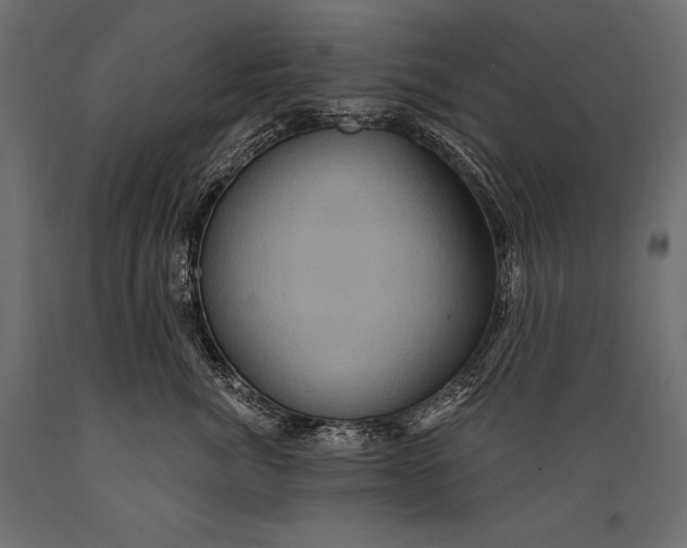 X0000088850764200706291455