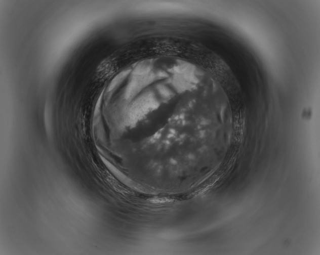 X0000088850765200706291455