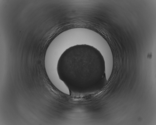 X0000088850766200706291455