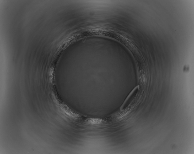 X0000088850767200706291455