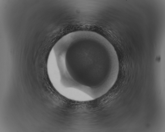 X0000088850769200706291454