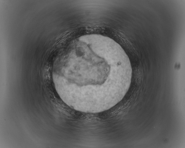 X0000088850770200706291454