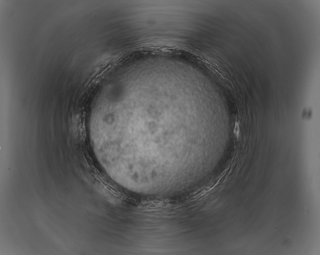 X0000088850771200706291454