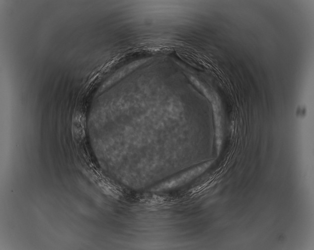 X0000088850772200706291454