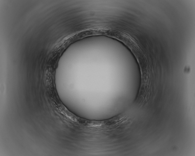 X0000088850773200706291454