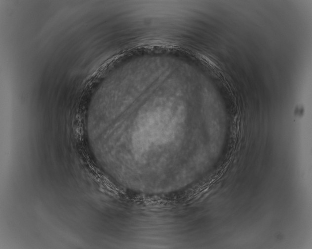 X0000088850774200706291454