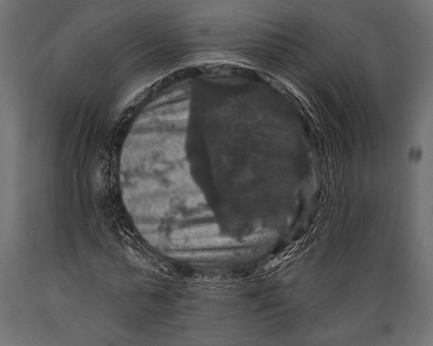 X0000088850775200706291454