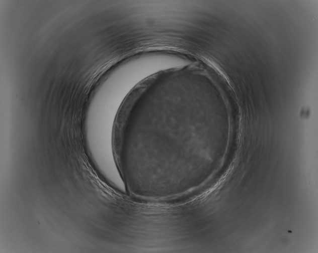 X0000088850777200706291454