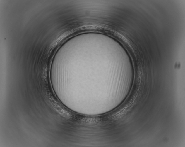 X0000088850778200706291454