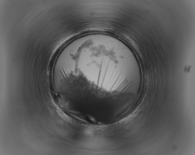 X0000088850779200706291454