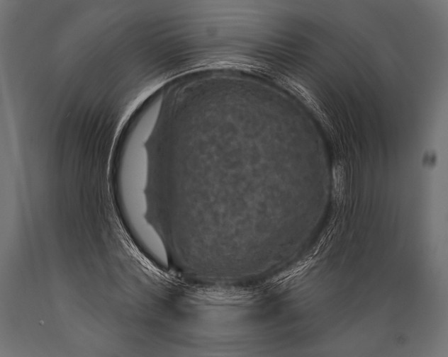 X0000088850780200706291454