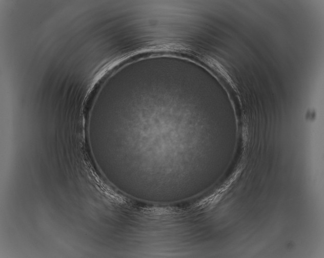 X0000088850781200706291454