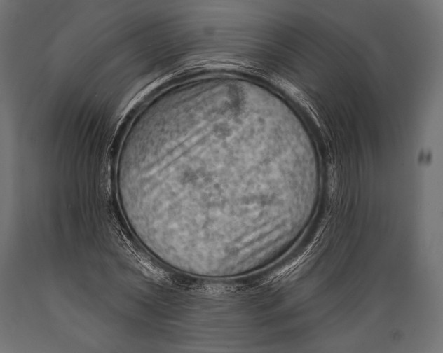 X0000088850782200706291454