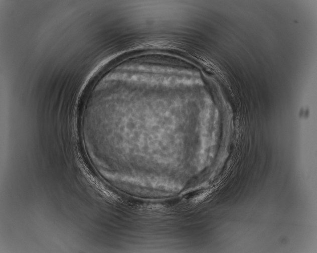 X0000088850784200706291454