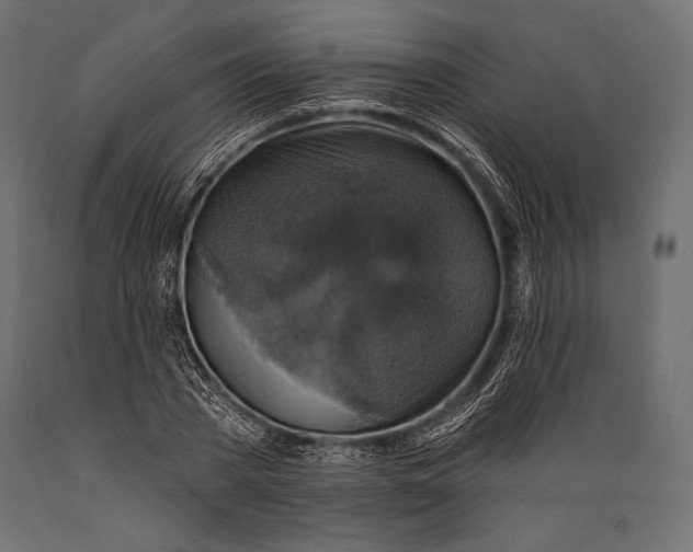 X0000088850785200706291454