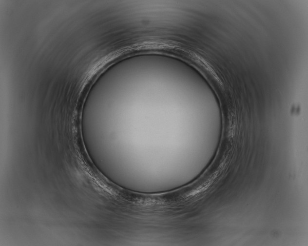 X0000088850786200706291454