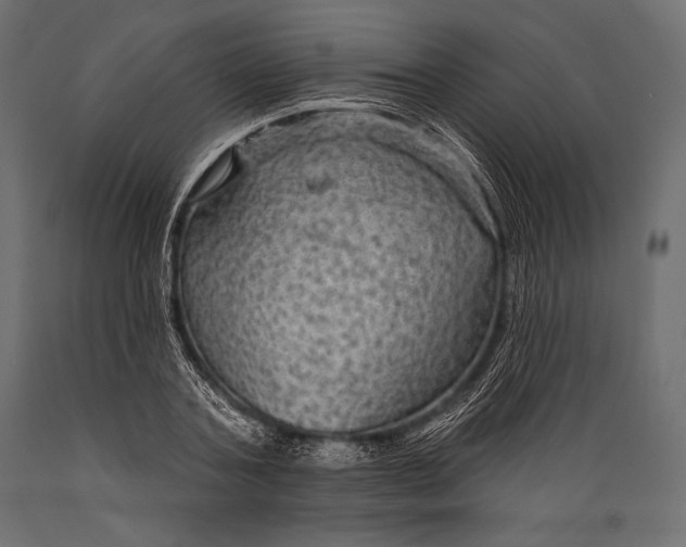 X0000088850787200706291454