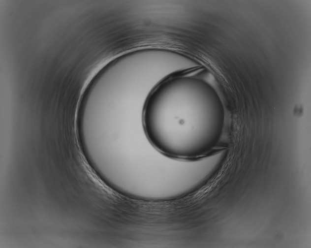 X0000088850788200706291454