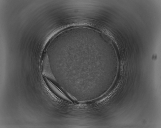 X0000088850789200706291454