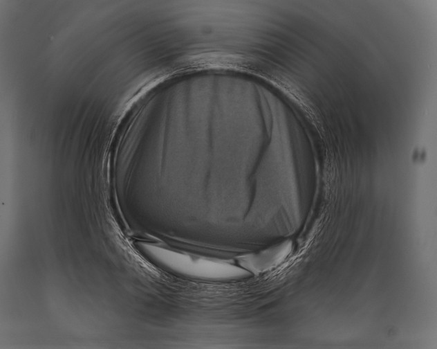 X0000088850790200706291454