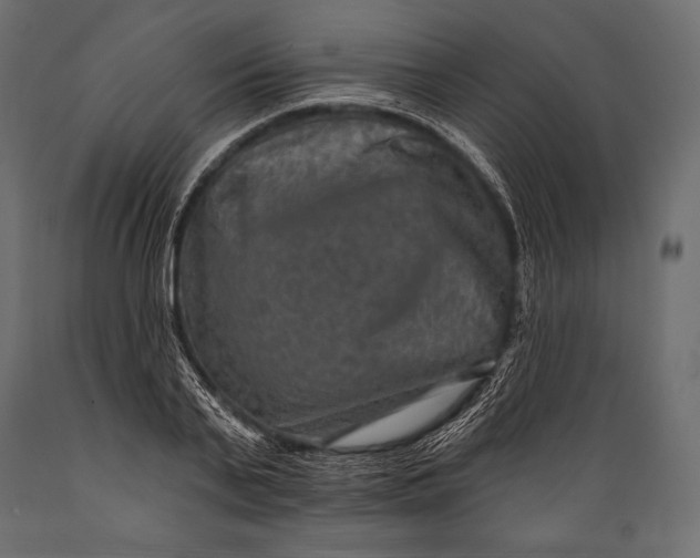 X0000088850791200706291454