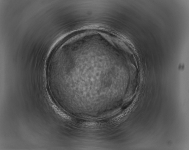 X0000088850792200706291454