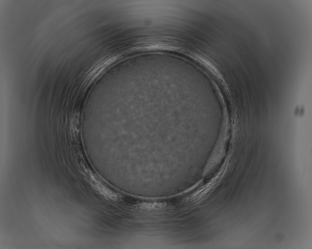 X0000088850793200706291454