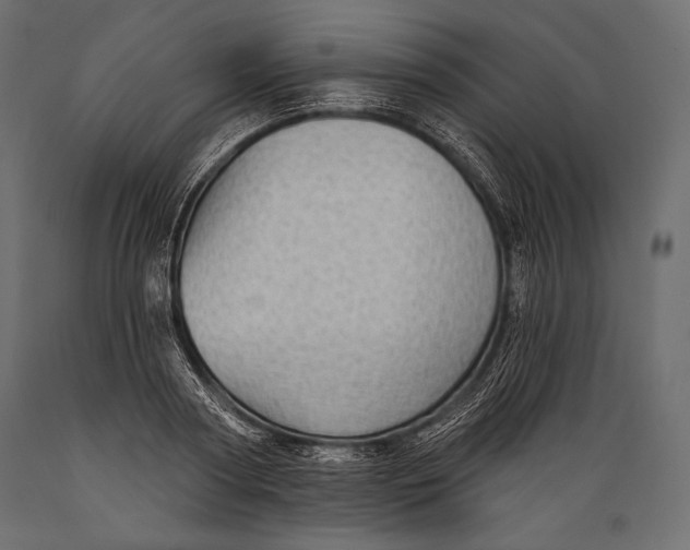 X0000088850794200706291454