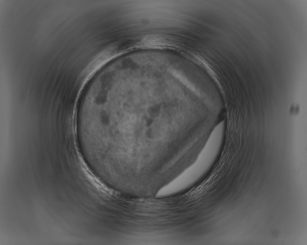 X0000088850795200706291454