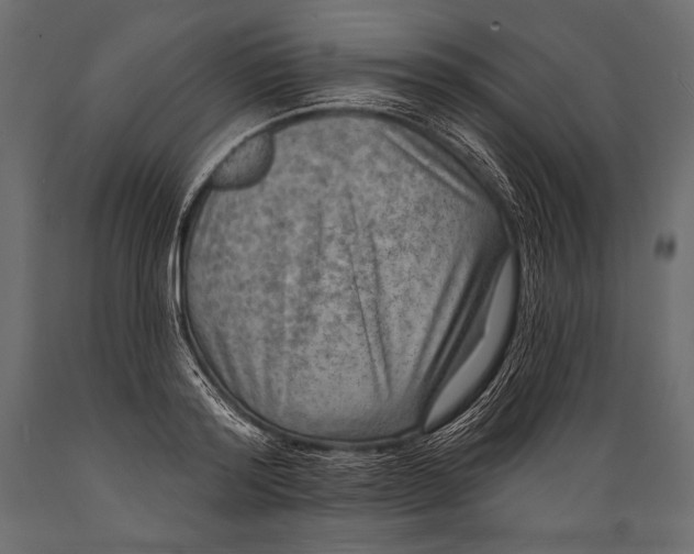 X0000088850796200706291454