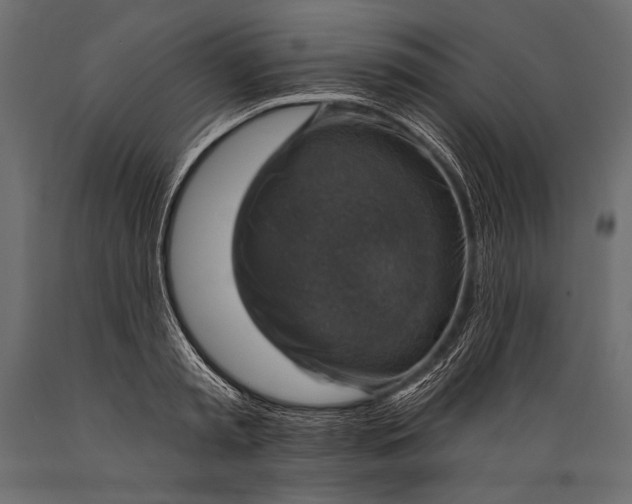 X0000088850797200706291454