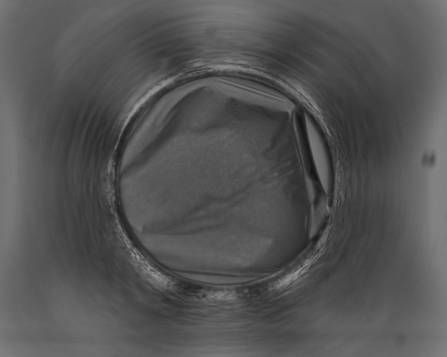 X0000088850798200706291454