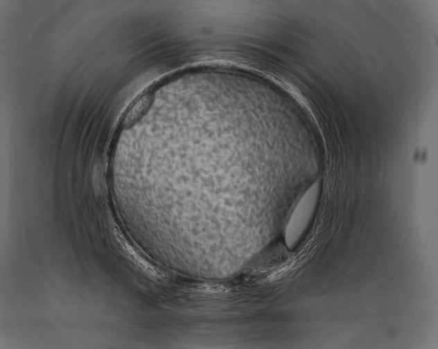 X0000088850799200706291454