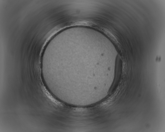 X0000088850800200706291454