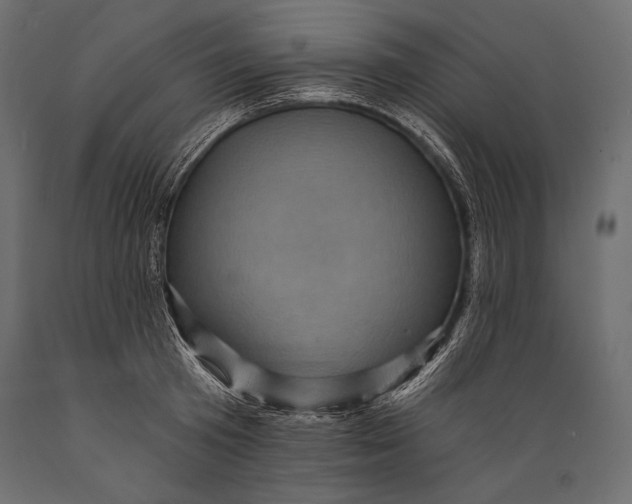 X0000088850801200706291454