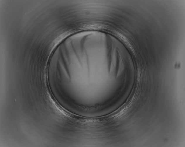 X0000088850802200706291454