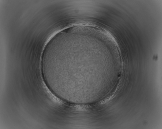 X0000088850803200706291454