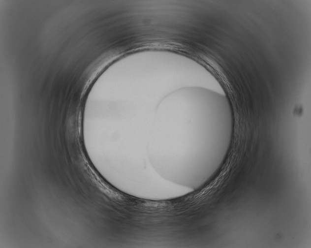 X0000088850804200706291454