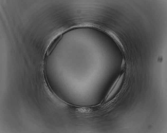 X0000088850805200706291454