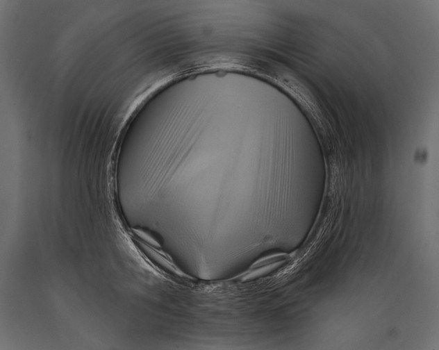 X0000088850806200706291454