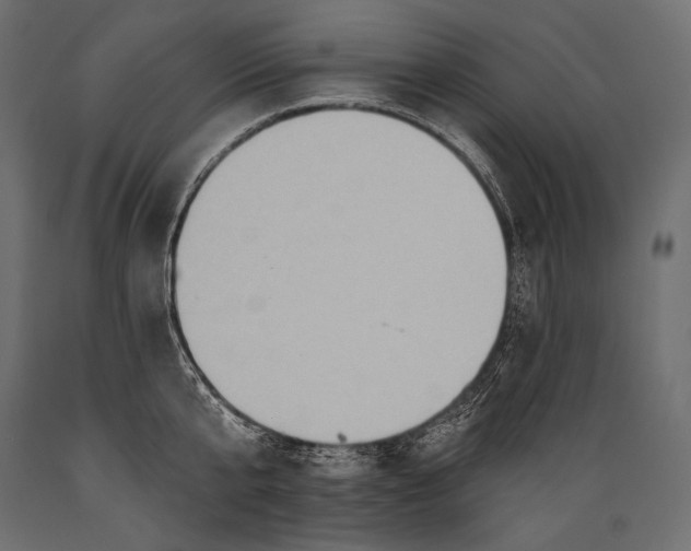 X0000088850807200706291454