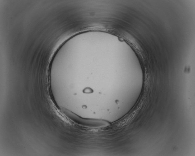 X0000088850808200706291454