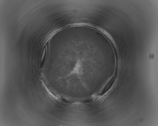 X0000088850809200706291454