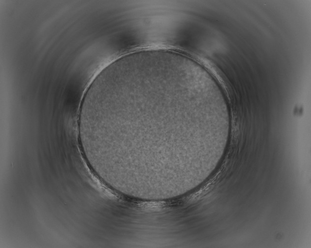 X0000088850810200706291454