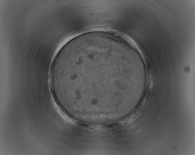 X0000088850811200706291454